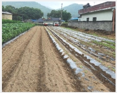  2024Ÿ��13537 ��� ���ֽ� ���嵿 867-2       ����(��)���