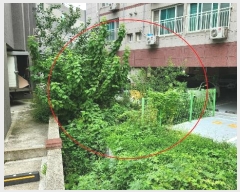  2024Ÿ��13537 ��� ���ֽ� ���嵿 867-2       ����(��)���