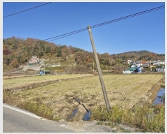  2024Ÿ14745  ֽ 糲 ż 434-1      ()