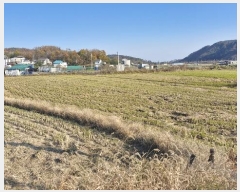  2024Ÿ14745  ֽ 糲 ż 434-1      ()