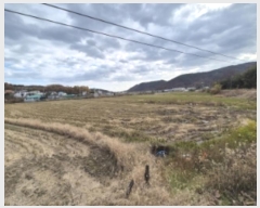  2024Ÿ14745  ֽ 糲 ż 434-1      ()