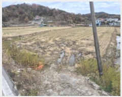  2024Ÿ14745  ֽ 糲 ż 434-1      ()