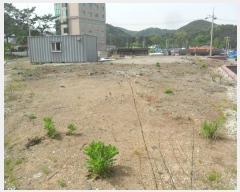  2024Ÿ��1268  �����