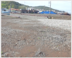  2024Ÿ��1268  �����