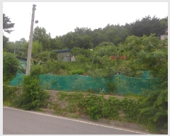  2024Ÿ��1657 ��� ���ֽ� ��ȿ�� ��35-8       ����(�Ӿ�)���