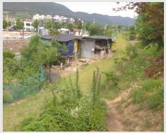  2024Ÿ��1657 ��� ���ֽ� ��ȿ�� ��35-8       ����(�Ӿ�)���