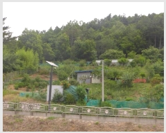  2024Ÿ��1657 ��� ���ֽ� ��ȿ�� ��35-8       ����(�Ӿ�)���