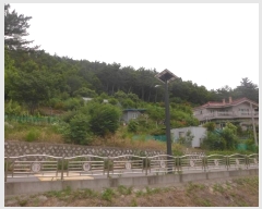  2024Ÿ��1657 ��� ���ֽ� ��ȿ�� ��35-8       ����(�Ӿ�)���