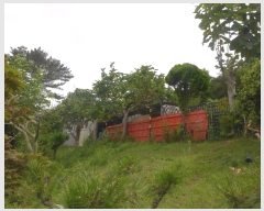  2024Ÿ��1657 ��� ���ֽ� ��ȿ�� ��35-8       ����(�Ӿ�)���