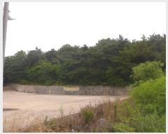  2024Ÿ��1657 ��� ���ֽ� ��ȿ�� ��35-8       ����(�Ӿ�)���