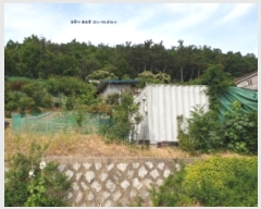  2024Ÿ��1657 ��� ���ֽ� ��ȿ�� ��35-8       ����(�Ӿ�)���