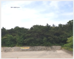  2024Ÿ��1657 ��� ���ֽ� ��ȿ�� ��35-8       ����(�Ӿ�)���