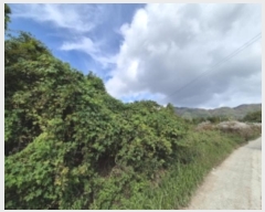  2024Ÿ��3295  ����