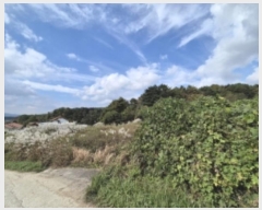  2024Ÿ��3295  ����