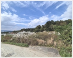  2024Ÿ��3295  ����