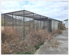  2024Ÿ��10903  â�����