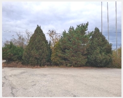  2024Ÿ��10903  â�����