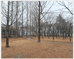  2024Ÿ��14516 ��� ���ֽ� õ���� 205-33       ��Ÿ�������