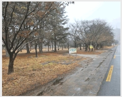  2024Ÿ��14516 ��� ���ֽ� õ���� 205-33       ��Ÿ�������