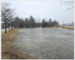  2024Ÿ��14516 ��� ���ֽ� õ���� 205-33       ��Ÿ�������