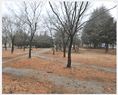  2024Ÿ��14516 ��� ���ֽ� õ���� 205-33       ��Ÿ�������