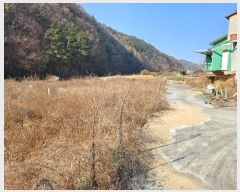  2024Ÿ��14837  ����