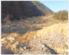  2024Ÿ��14837  ����