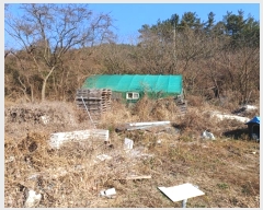  2024Ÿ��14837  ����