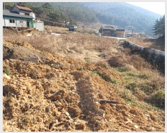  2024Ÿ��14837  ����