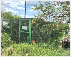  2024Ÿ1964  ̽ 굿 õ 602      (1)