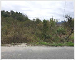  2024Ÿ2707  õ Ҹ  338      ()