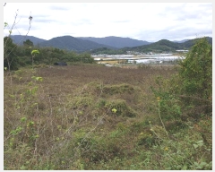  2024Ÿ2707  õ Ҹ  338      ()