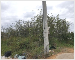  2024Ÿ2707  õ Ҹ  338      ()