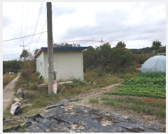  2024Ÿ2707  õ Ҹ  338      ()