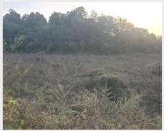  2024Ÿ2707  õ Ҹ  338      ()