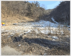  2024Ÿ3083  õ µ 654       (1)