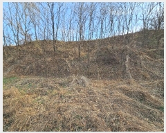  2024Ÿ3205  õ ׸  731      (1)