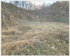  2024Ÿ3205  õ ׸  731      (1)