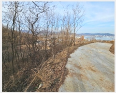  2024Ÿ3205  õ ׸  731      (1)