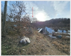  2024Ÿ3205  õ ׸  731      (1)