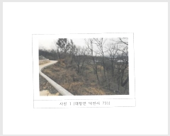  2024Ÿ3205  õ ׸  731      (1)