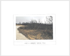  2024Ÿ3205  õ ׸  731      (1)