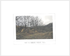  2024Ÿ3205  õ ׸  731      (1)