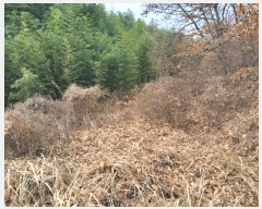  2024Ÿ��3458 ��� ��õ�� ���� �߿ո� 300      ����(��1)���