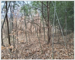  2024Ÿ��3458 ��� ��õ�� ���� �߿ո� 300      ����(��1)���