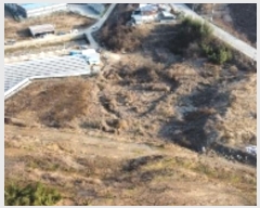  2024Ÿ��3656  �������