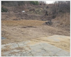  2024Ÿ��3656  �������