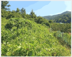  2024Ÿ15789  õ õ ⸮ 39      (1)