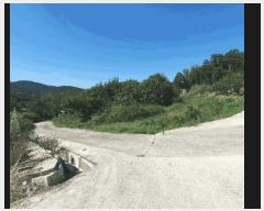  2024Ÿ15789  õ õ ⸮ 39      (1)