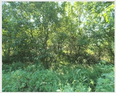  2024Ÿ15789  õ õ ⸮ 39      (1)